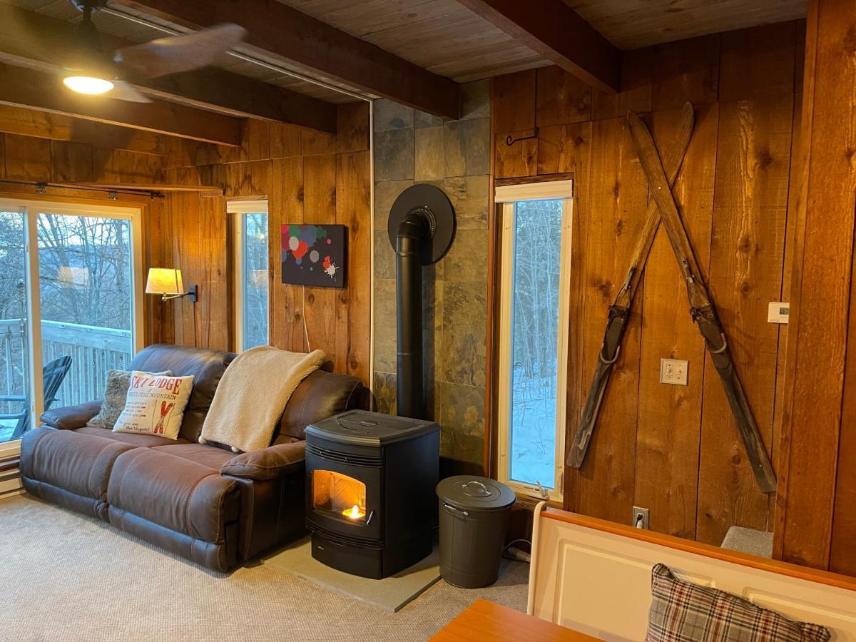 Mandy'S Mountain Chalet Dover Dış mekan fotoğraf
